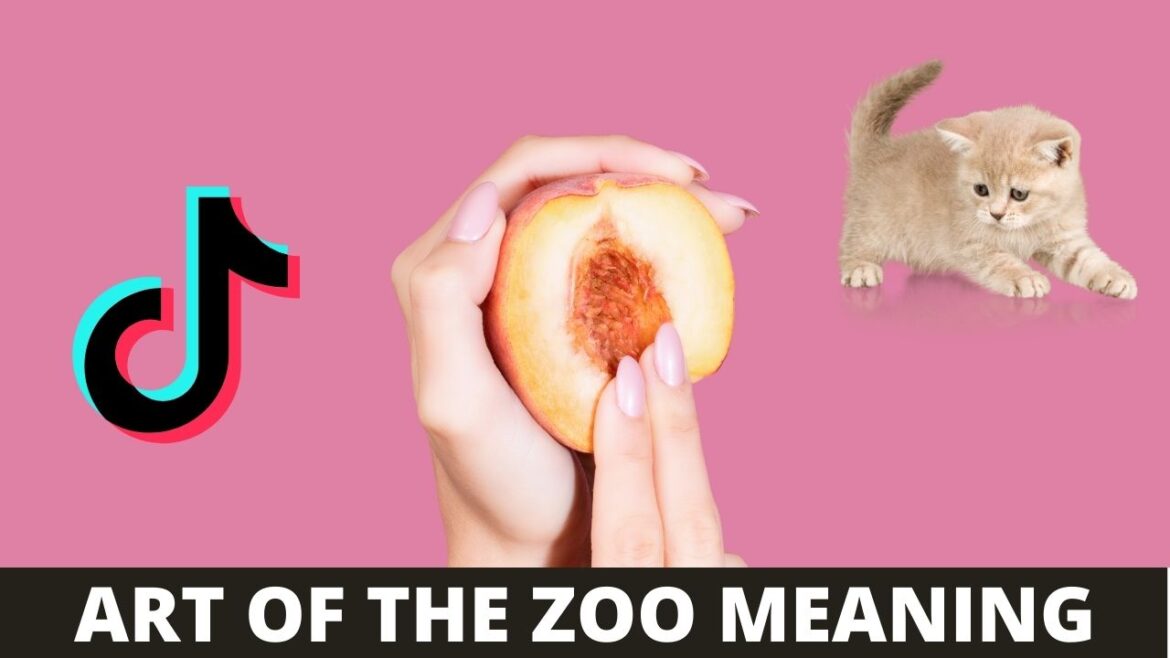 TikTok is freaking out after searching for ‘Art of the Zoo
