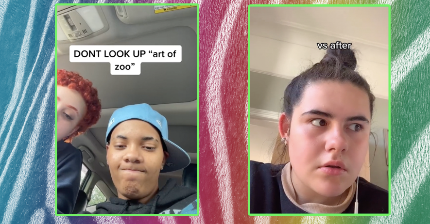 tiktok art of zoo 